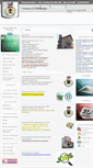 Mobile Screenshot of comune.pettinengo.bi.it